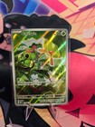 Caterpie