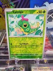 Caterpie