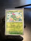 Caterpie