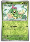 Caterpie