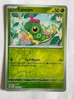 Caterpie