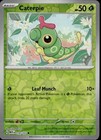Caterpie