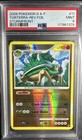 Torterra