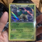 Gogoat