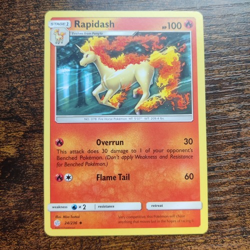 Rapidash
