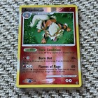 Arcanine