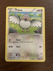 Pidove