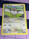 Pidove
