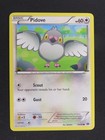 Pidove