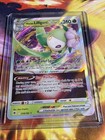 Hisuian Lilligant VSTAR
