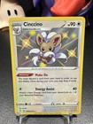 Cinccino
