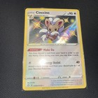 Cinccino