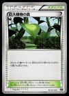 Forest of Giant Plants
