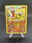 Hippowdon