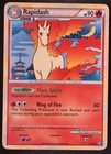 Rapidash