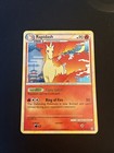 Rapidash