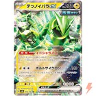 Iron Thorns Ex
