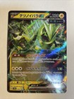 Iron Thorns Ex