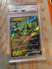 Iron Thorns Ex
