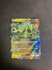 Iron Thorns Ex