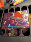 Magikarp Mayhem
