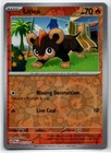 Litleo