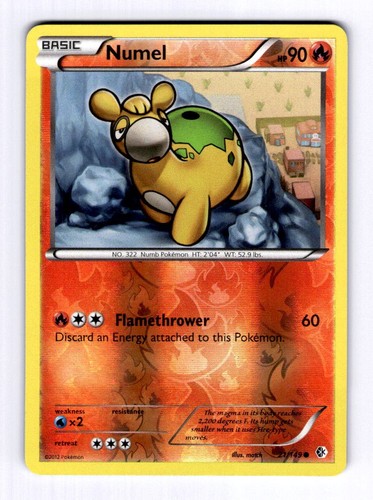 Numel