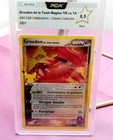 Groudon