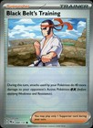 Black Belt's Training