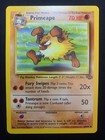 Primeape