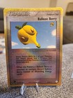 Balloon Berry