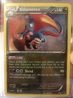 Salamence