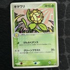 Sunflora