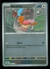 Spearow