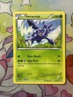 Heracross