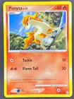 Ponyta