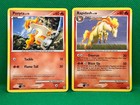 Ponyta