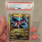Garchomp