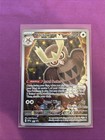 Noctowl