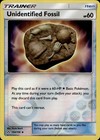 Unidentified Fossil