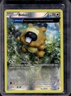 Bidoof