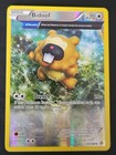 Bidoof