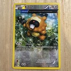 Bidoof
