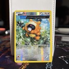 Bidoof