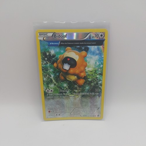 Bidoof