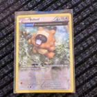 Bidoof