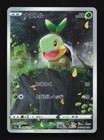 Turtwig