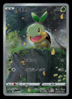 Turtwig