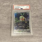 Turtwig