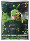 Turtwig